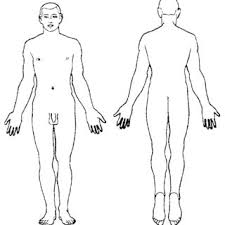 Typical Body Chart In Bernard Knight Simpons Forensic