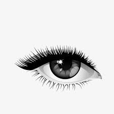 Eye Eyes Clipart Black And White Eyelash Png Transparent Clipart Image And Psd File For Free Download Eyelashes Lavish Lashes Lashes