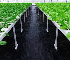 It can grow fresh vegetables in your home throughout the year. Garden Weed Barrier Landscape Fabric