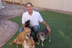 Arizona's #1 board and train program just got even better for 2021! The 10 Best Dog Boot Camp In Phoenix Az With Free Estimates