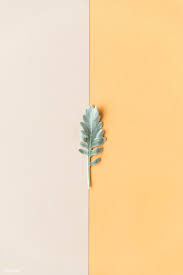 Hd wallpapers and background images Download Premium Image Of Blank Two Tone Card Template Mockup 1204398 Flower Background Wallpaper Wallpaper Polos Aesthetic Backgrounds Tumblr Pastel
