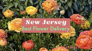 We did not find results for: The 5 Best Options For Flower Delivery In New Jersey 2021