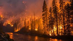 How Wildfires Are Polluting Rivers and Threatening Water Supplies ...