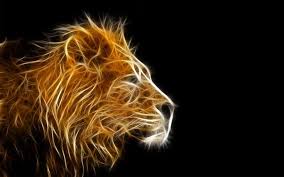 Lion Hd 8k Wallpaper Male Lion Hd Desktop Wallpaper For 8k 4k Ultra Tv Tablet Full Hd P Tiger Wallpapers Hd Lion Wallpaper Lion Hd Wallpaper Animal Wallpaper