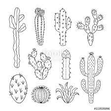 The busy time of the year is now approaching and gratifying to note the very healthy growth on the plants. Cactus Succulents Plants Doodle Perfect For Bullet Journal Or Planner Decorations Bujo Ihavethisthingwithb Planer Dekoration Kaktuszeichnung Stickereimuster