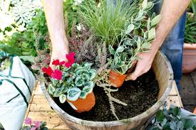 They can last long in vases too, making good indoor flower arrangements. Winter Planters How To Keep Your Winter Garden Colourful