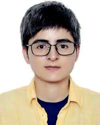 Morin as an imminent functional food ingredient: an update