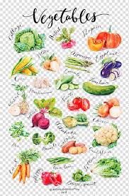 Variety Of Vegetables Chart Vegetable Auglis Gourd Food
