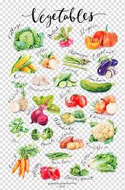 variety of vegetables chart vegetable auglis gourd food