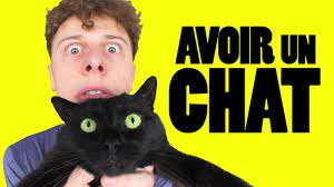 See more of dans la tête de on facebook. Norman Avoir Un Chat Youtube