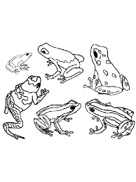 Amazing Frog Coloring Pages Below Is A Collection Of Frog Coloring Page Which You Can Download For Free Frog Coloring Pages Amazing Frog Animal Coloring Pages