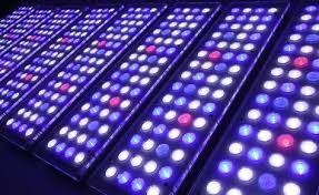 Led Aquarium Lighting Review Guide 5 Best Reef Led Light Brands Akvaryum Led