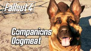 Companions - Fallout 4 Guide - Ign