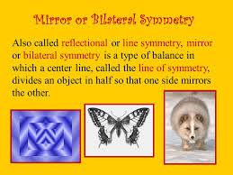 Symmetry is a very formal type of balance consisting of a mirroring of portions of an image. Radial Symmetry In Art Math And Science Radial Symmetry Radial Symmetry Or Balance Is A Type Of Balance In Which The Parts Of An Object Or Picture Ppt Download