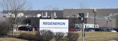 It is a mixture of two . Feds Give Regeneron 450m For Production Of Potential Covid Treatment