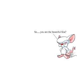 Quotes from pinky and the brain. Pinky And The Brain Wallpapers Hd For Desktop Backgrounds