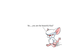 The great collection of pinky and the brain wallpapers for desktop, laptop and mobiles. Pinky And The Brain Wallpapers Hd For Desktop Backgrounds