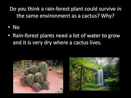 The cactus is a plant which grows in very hot, dry places. Adaptation And Survival Ppt Download