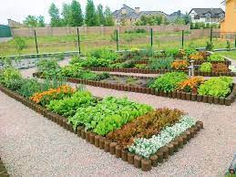 Как организовать огород на участке. 5 практических советов | Загородная  жизнь | Дзен