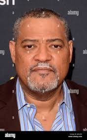 Laurence Trimble's Instagram, Twitter & Facebook