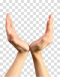 Hand Cupped Hands Person S Hands Transparent Background Png Clipart Hiclipart Affordable and search from millions of royalty free images, photos and vectors. hand cupped hands person s hands