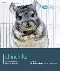 Choices range from a beautiful brown velvet victorian hat to a 1990s canvas beach hat. Buy Chinchilla Pet Friendly Book Online At Low Prices In India Chinchilla Pet Friendly Reviews Ratings Amazon In