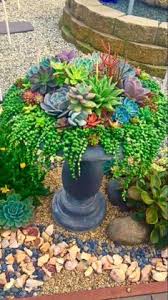 The central ohio cactus and succulent society will be hosting its 2019 spring cactus and succulent sale on saturday april 27th at the franklin park we offer plants of many sizes, from nice miniatures, suitable for creating your own dish gardens, terrariums, succulent wreaths, and vertical. 39 Succulent Plants Ideas Plants Planting Succulents Succulents Garden