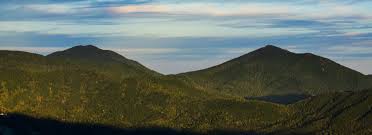 Obituary of Catheryn Padgett Musgrove