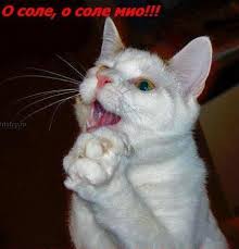 Image result for ���������� ���� ��������