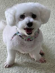 Hello, my name is Amber, it's my birthday today!