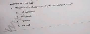 Which cell is absent in animal cell. Differentiate Between Plant Cells And Animal Cells