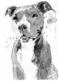 Staffy Ink On Paper Watercolor Dog Pitbull Art Dog Art