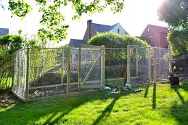 I can still hear my mom whipping open the sliding door and clapping her hands to scare them away from our tomatoes. Keeping Deer Away From Your Flowers And Spring Gardening Tips Life Is Sweet As A Peach