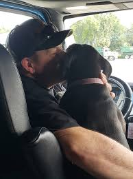 Trucking Pets: Driving America One Paw at a Time