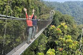 New Year's Safari in Rwanda