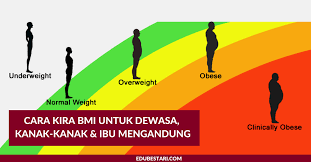 Anda perlu menambahkan berat berat dengan cara yang selamat sehingga mendapat berat yang sesuai. Cara Kira Bmi Untuk Dewasa Kanak Kanak Ibu Mengandung Edu Bestari