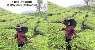 So amek la keputusan untuk g melancong. Wanita Ini Kongsi Trik Ootd Yang Wow Bila Bercuti Ke Cameron Highland Barulah Gambar Nampak Vass Hijabista