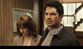 Plot summary | add synopsis Professor T Tv Series 2021 Imdb