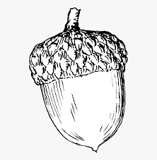 Check spelling or type a new query. Acorn Printable Coloring Pages Coloring Pages Of Acorns Hd Png Download Kindpng