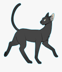How to draw a cat sitting down step by step cat pics clipart. Simple Draw All The Cats Warrior Cat Drawing Full Body Free Transparent Clipart Clipartkey