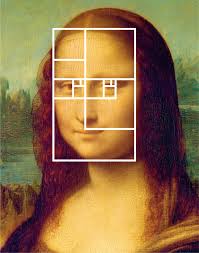 Résultat de recherche d'images pour "nombre d'or corps humain"