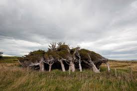 Slope Point New Zealand Flickr Photo Sharing New Zealand South Island New Zealand Photo