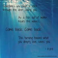 Fish In Safe In The Water So Will You If You Make The Turn To Something You Deeply Love Rumi Love Rumi Love Quotes Rumi Quotes