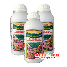 Chế phẩm sinh học cho hoa hồng - T100