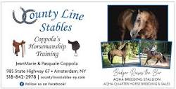 County Line Stables | Boarding, Training, Lessons and More…