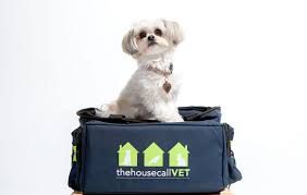 At affordable veterinary clinic, our veterinarian near me provides your cats & dogs with care at prices you can afford. Mobile Vet Brisbane Mobile Veterinarian Near Me The House Call Vet