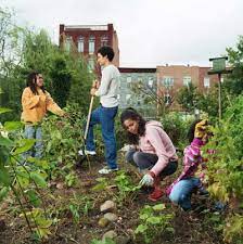 Gardens can also be sized to accommodate production of an estimated amount of food a family will consume in a year (tables1, 2 and 3). How To Start A Community Garden Howstuffworks