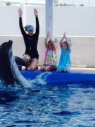 Gulfarium Marine Adventure Park Adventure Park Fort Walton Beach Fort Walton Beach Florida