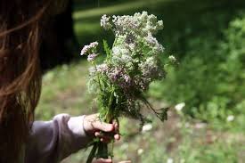 Beautifully Bloomed Florist In Cedar Rapids Planting Seeds For Next Year S Weddings The Gazette