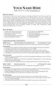 Professional Cv Examples Free Download Cv Examples Curriculum Vitae Resume Professional Cv Examples